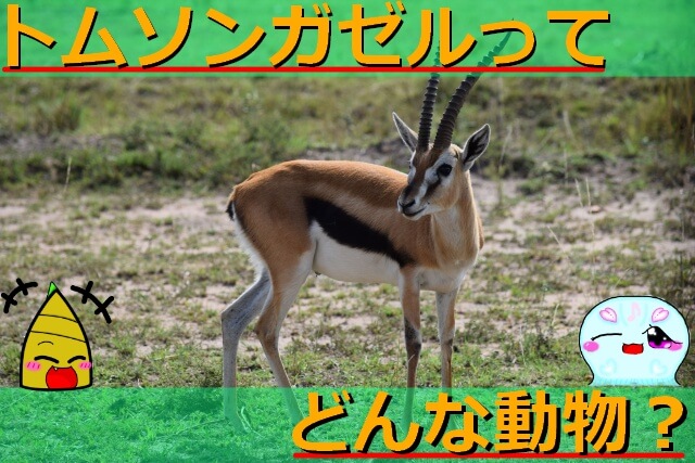 Thumbnail of post image 031